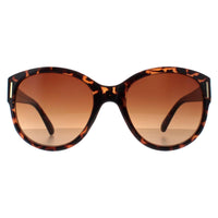 Smarty Sunglasses X2120 B Demi Tortoise Brown Brown