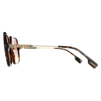 Burberry Sunglasses BE4324 300213 Dark Havana Brown Gradient