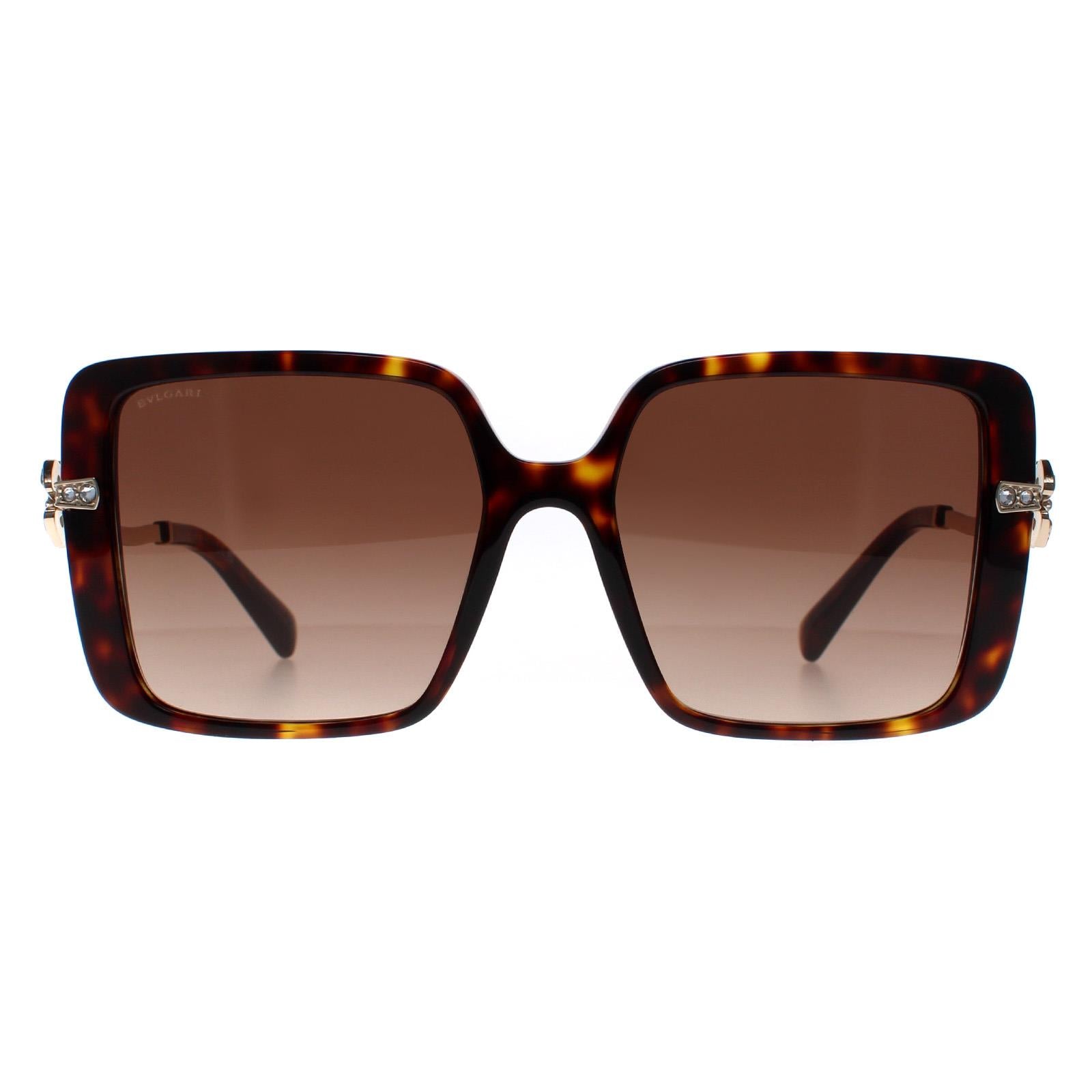 Sunglasses BV8243B 504 13 Havana Gradient