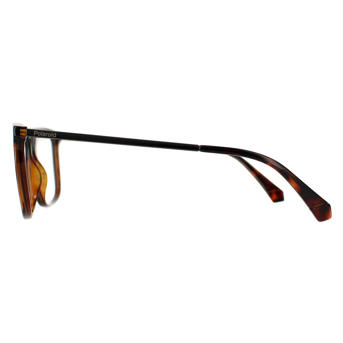 Polaroid Glasses Frames PLD D497 086 Havana Men
