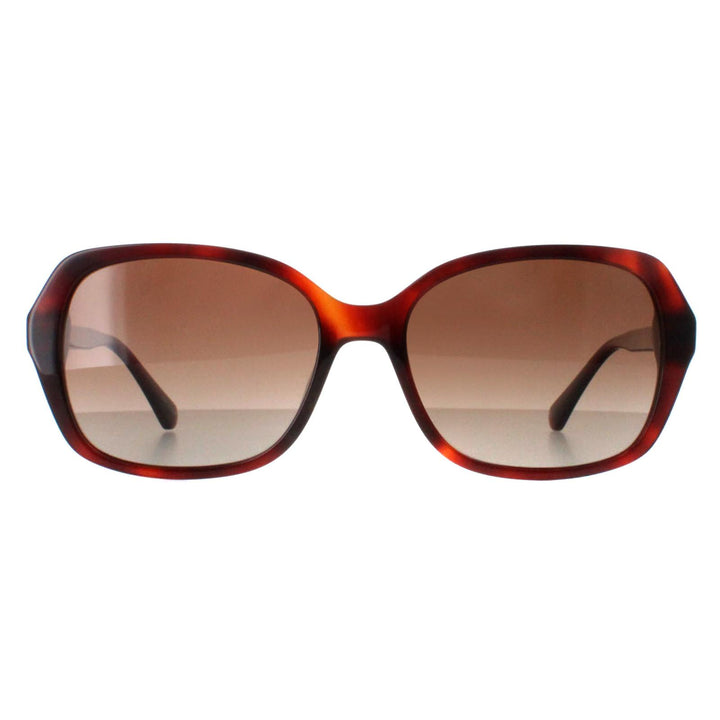 Kate Spade Sunglasses Yvette/S 086 LA Havana Brown Gradient Polarized