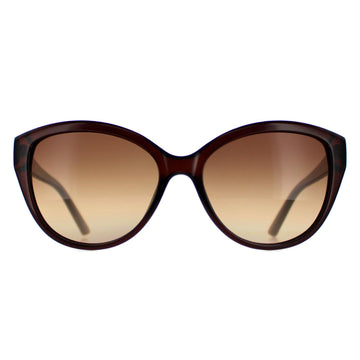 Calvin Klein Sunglasses CK19536S 210 Crystal Brown Brown