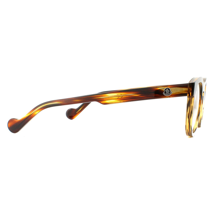 Moncler Glasses Frames ML5040 055 Havana Men