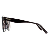 Salvatore Ferragamo Sunglasses SF977S 057 Crystal Grey Grey Gradient
