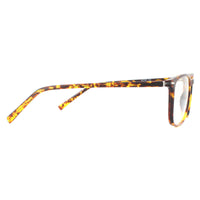 SunOptic Glasses Frames AC9 C Turtle Brown Men Women