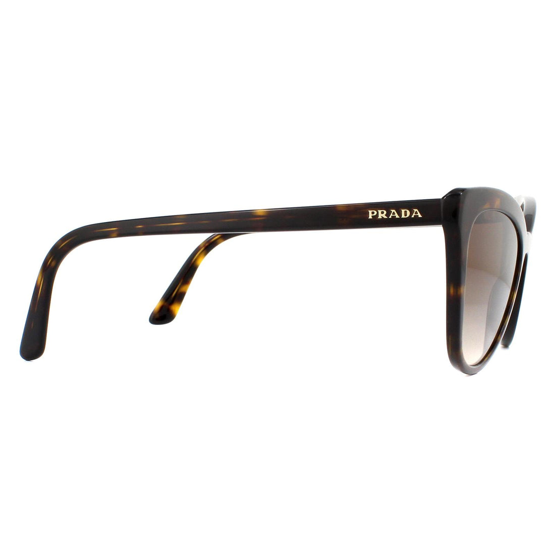Prada Sunglasses PR01VS 2AU6S1 Havana Brown Gradient