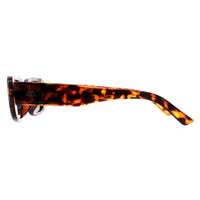 Montana Sunglasses MP65 A Shiny Turtle G15 Polarized