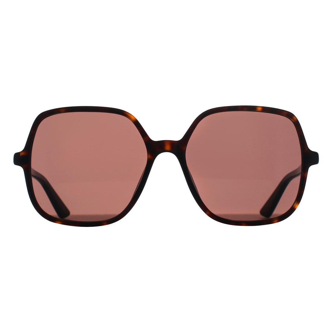 Chloe Sunglasses CH0362S 002 Dark Havana Brown