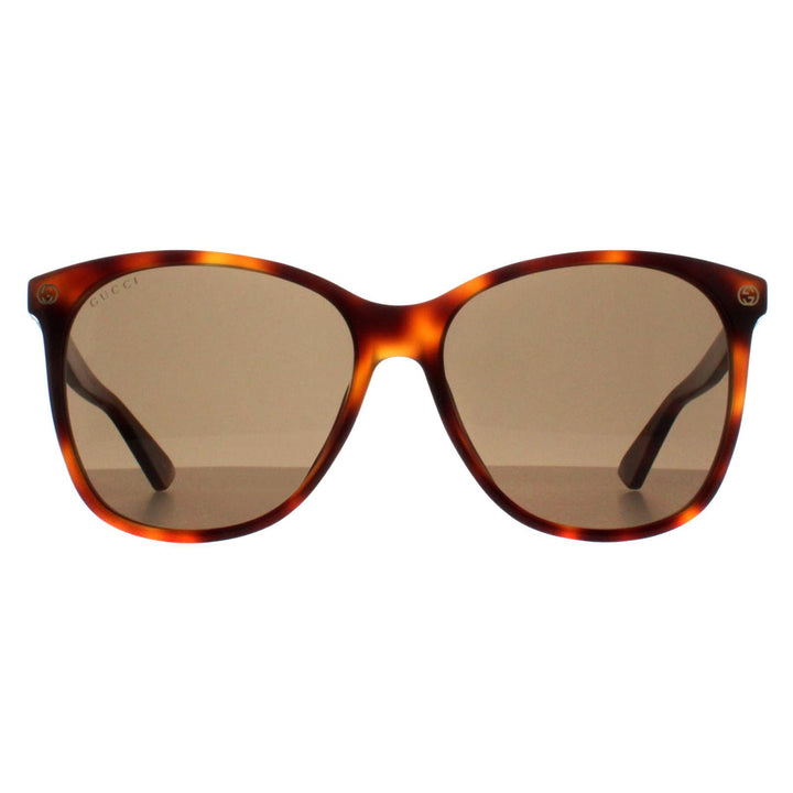 Gucci GG0024S Sunglasses Havana Brown