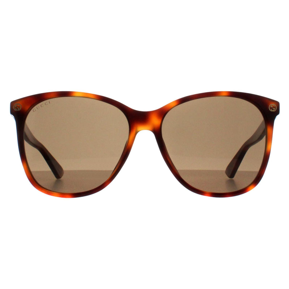 Gucci GG0024S Sunglasses Havana / Brown