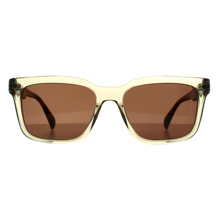 Ted Baker Sunglasses TB1696 George 139 Crystal Grey Brown