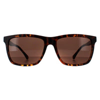 Smarty Sunglasses SB2201 B Tortoise Brown Brown