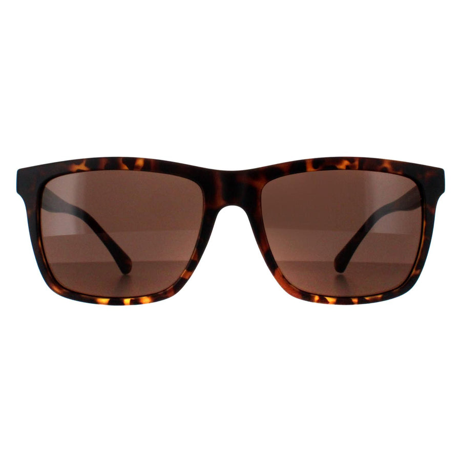 Smarty Sunglasses SB2201 B Tortoise Brown Brown