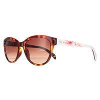 Ted Baker Sunglasses TB1605 Amie 121 Havana Brown Brown Gradient