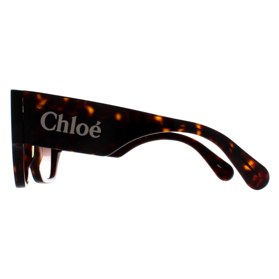 Chloe Sunglasses CH0233S 002 Dark Havana Brown Gradient