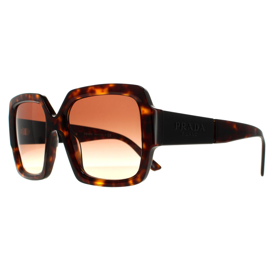 Prada Sunglasses PR21XS 2AU6S1 Havana Brown Gradient