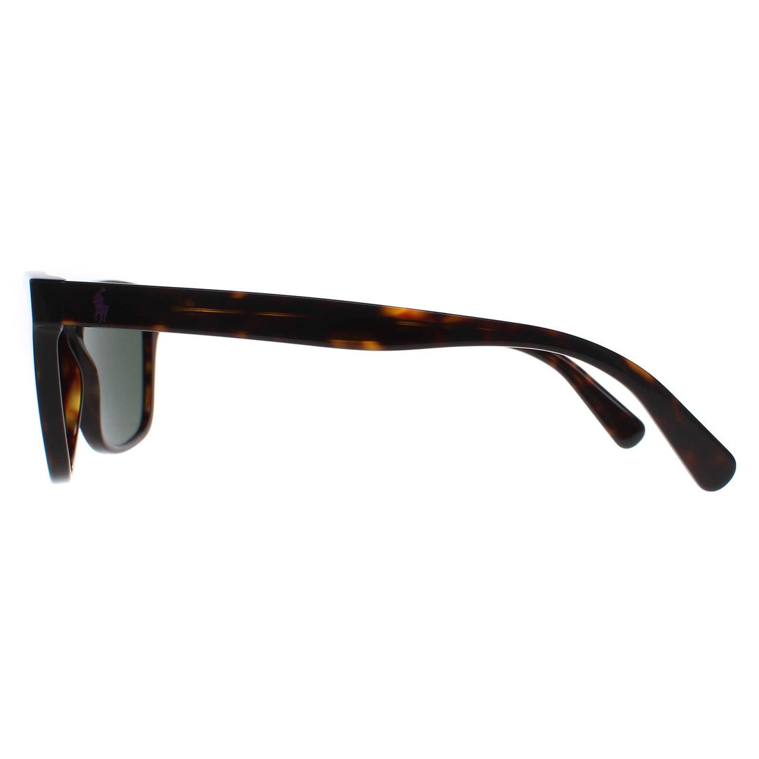 Polo Ralph Lauren Sunglasses PH4167 500371 Shiny Dark Havana Dark Green