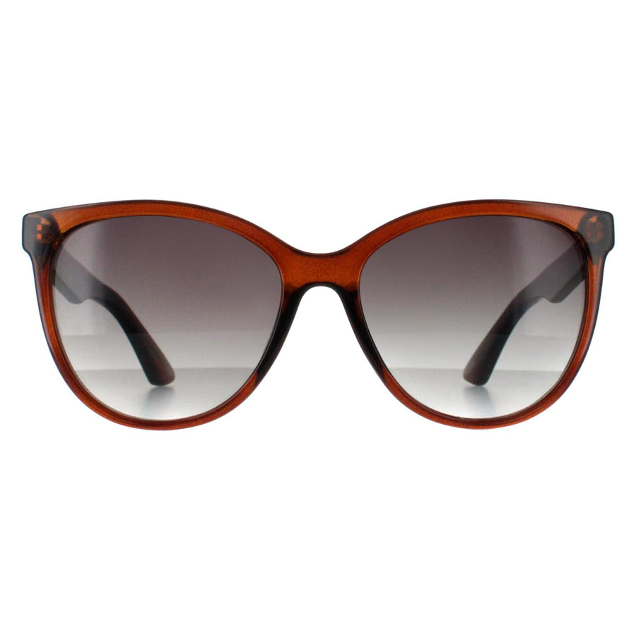 Smarty Sunglasses SB2312 B Transparent Brown Grey
