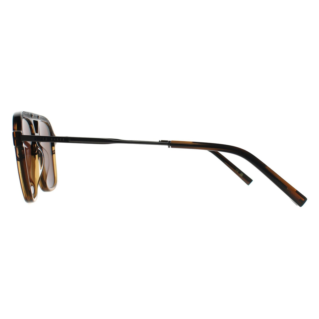 Ted Baker Sunglasses TB8259 122 Brown Horn Gradient Brown