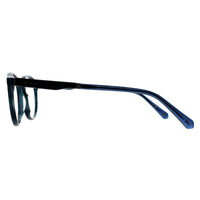 Ted Baker Glasses Frames TB8250 Hinton 622 Blue Horn Men Women