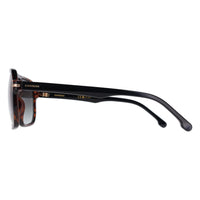 Carrera Sunglasses 302/S 086 9K Havana Green Gradient