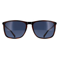 Calvin Klein Sunglasses CK20524SN 235 Havana Blue