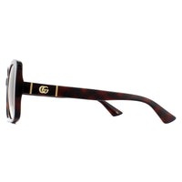 Gucci Sunglasses GG0762S 002 Havana Brown Gradient