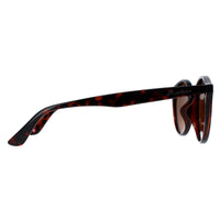Montana Sunglasses MP20B Tortoise Brown Polarized