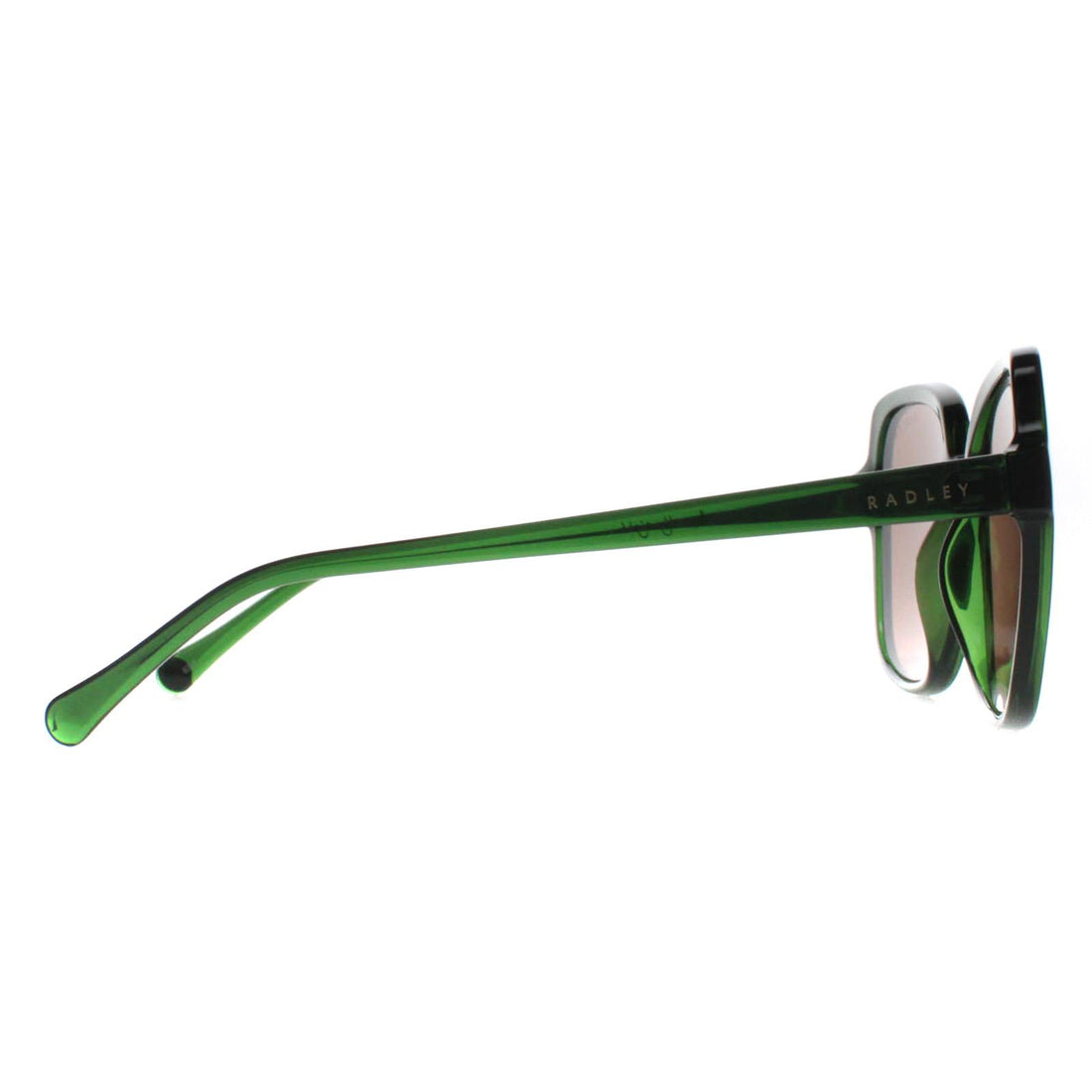 Radley Sunglasses Phoenix 6505 107PA Transparent Dark Green Brown