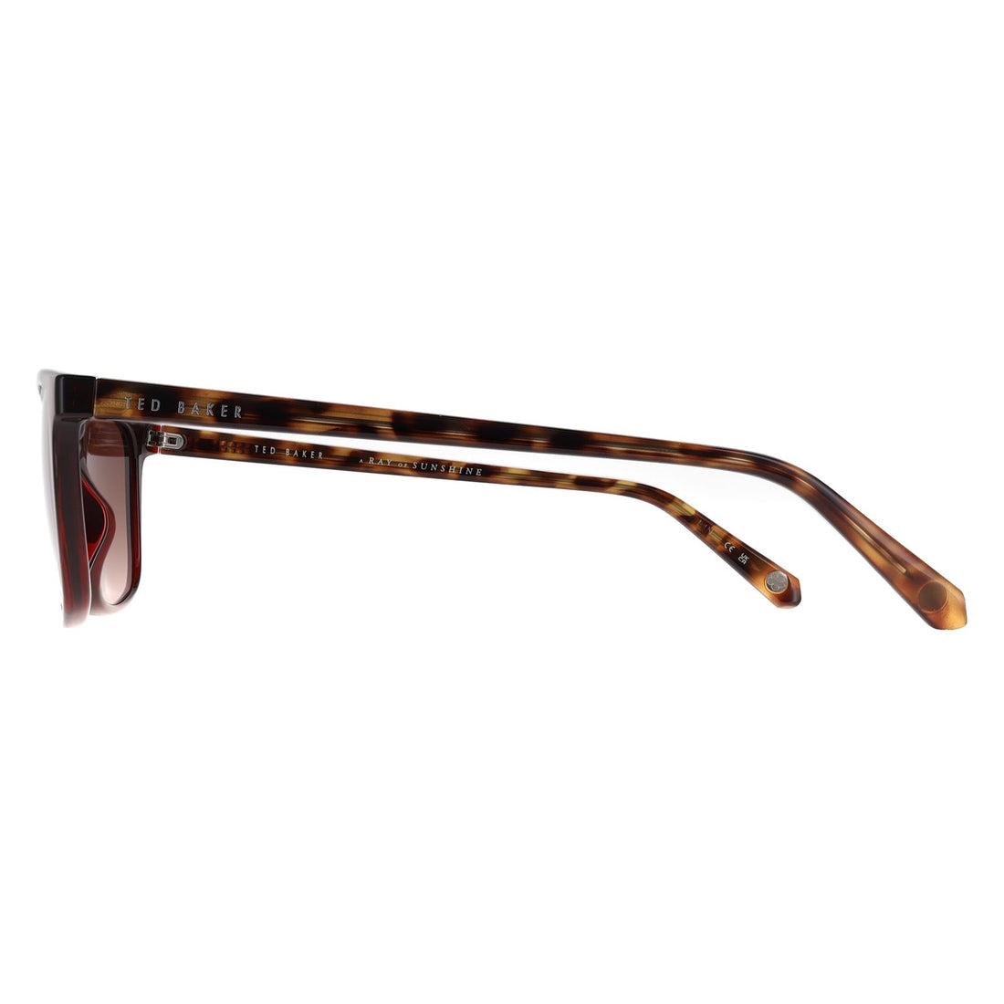 Ted Baker Sunglasses TB1529 Farley 249 Tortoise Brown Gradient