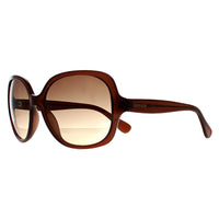 Calvin Klein Sunglasses CK19538S 210 Crystal Brown Brown Gradient