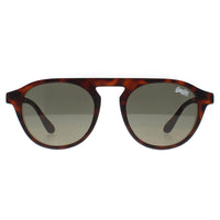 Superdry Sunglasses Palmsprings 102 Tortoise Brown Green
