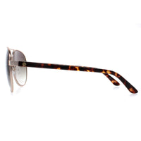 Smarty Sunglasses X1121 B Matte Gold Demi Tortoise Brown Brown