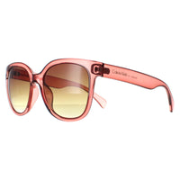 Calvin Klein Sunglasses CK22553S 210 Transparent Brown Brown Gradient