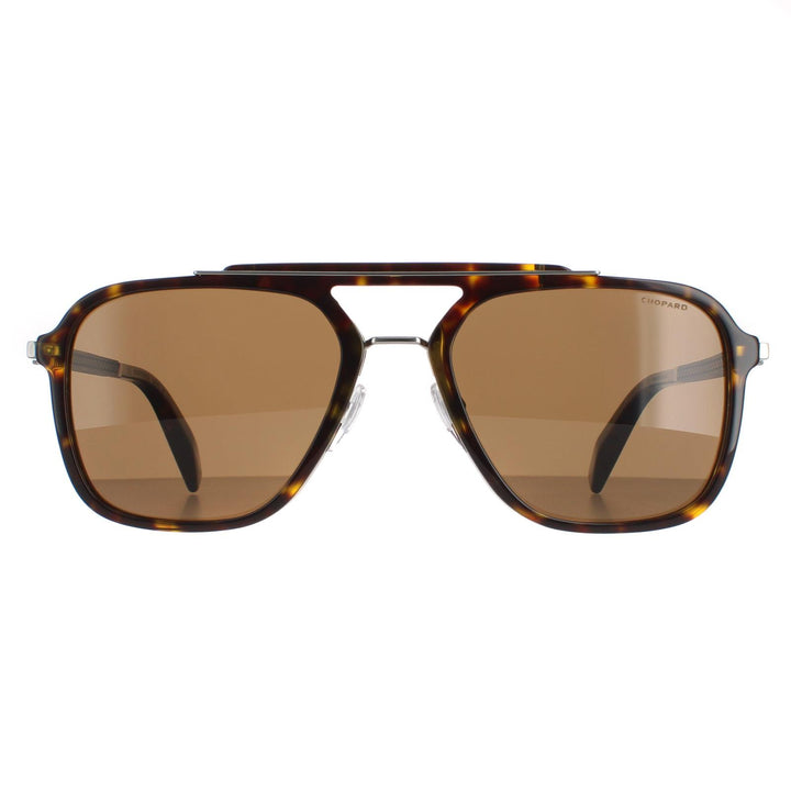 Chopard SCH291 Sunglasses Shiny Dark Havana Brown Polarised