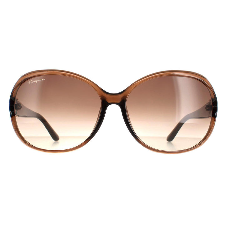 Salvatore Ferragamo Sunglasses SF770SA 213 Light Brown Brown Gradient