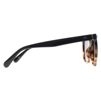 Montana Sunglasses MP190 A Shiny Black Turtle Smoke Polarized