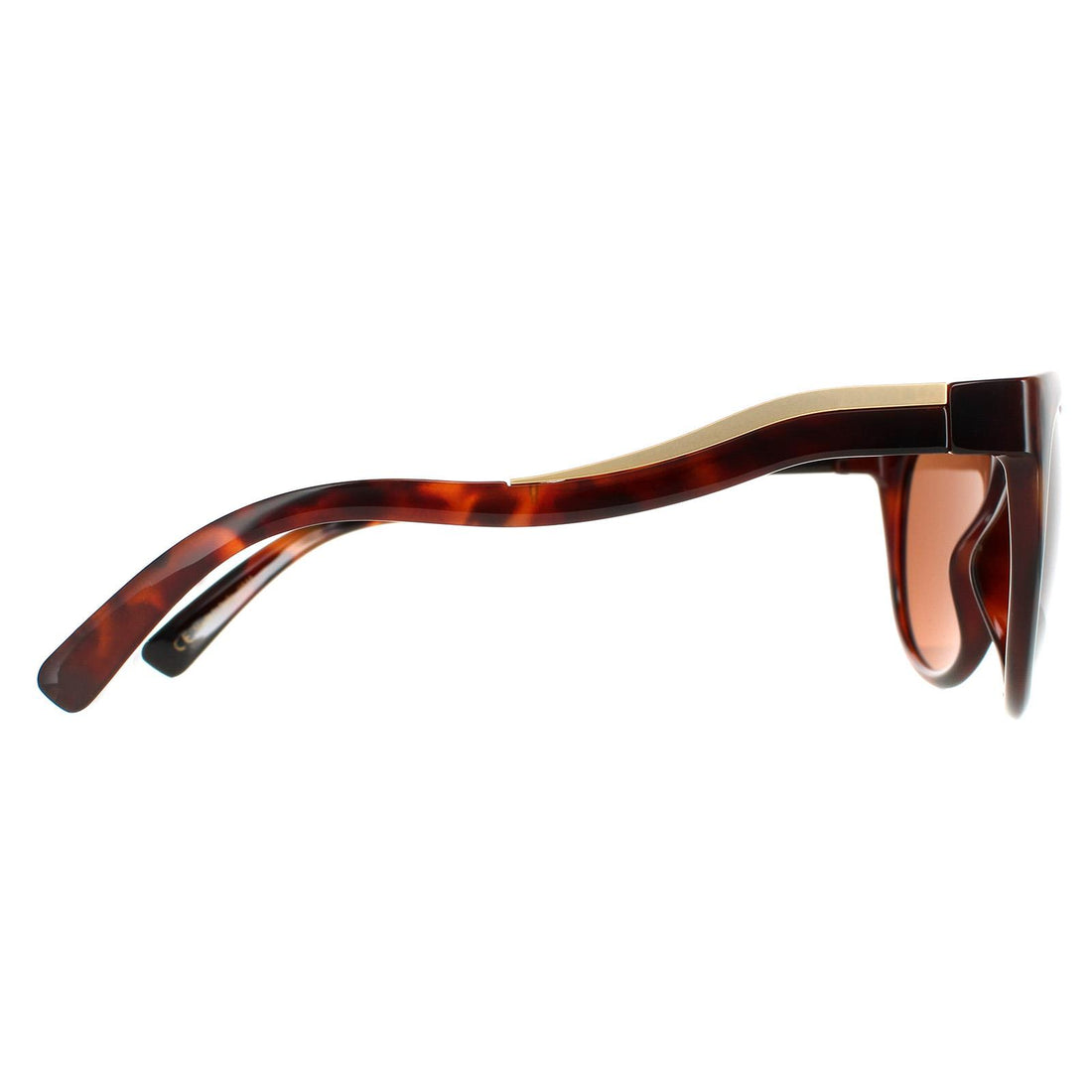 Serengeti 2024 lia sunglasses