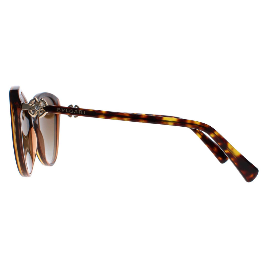 Bvlgari Sunglasses BV8246B 5496T5 Havana Brown Transparent Brown Gradient Polarized