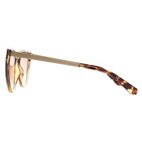 Ted Baker Sunglasses TB1642 Doris 129 Tortoise Brown Gradient