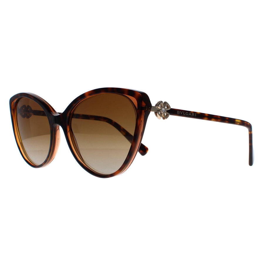 Bvlgari Sunglasses BV8246B 5496T5 Havana Brown Transparent Brown Gradient Polarized