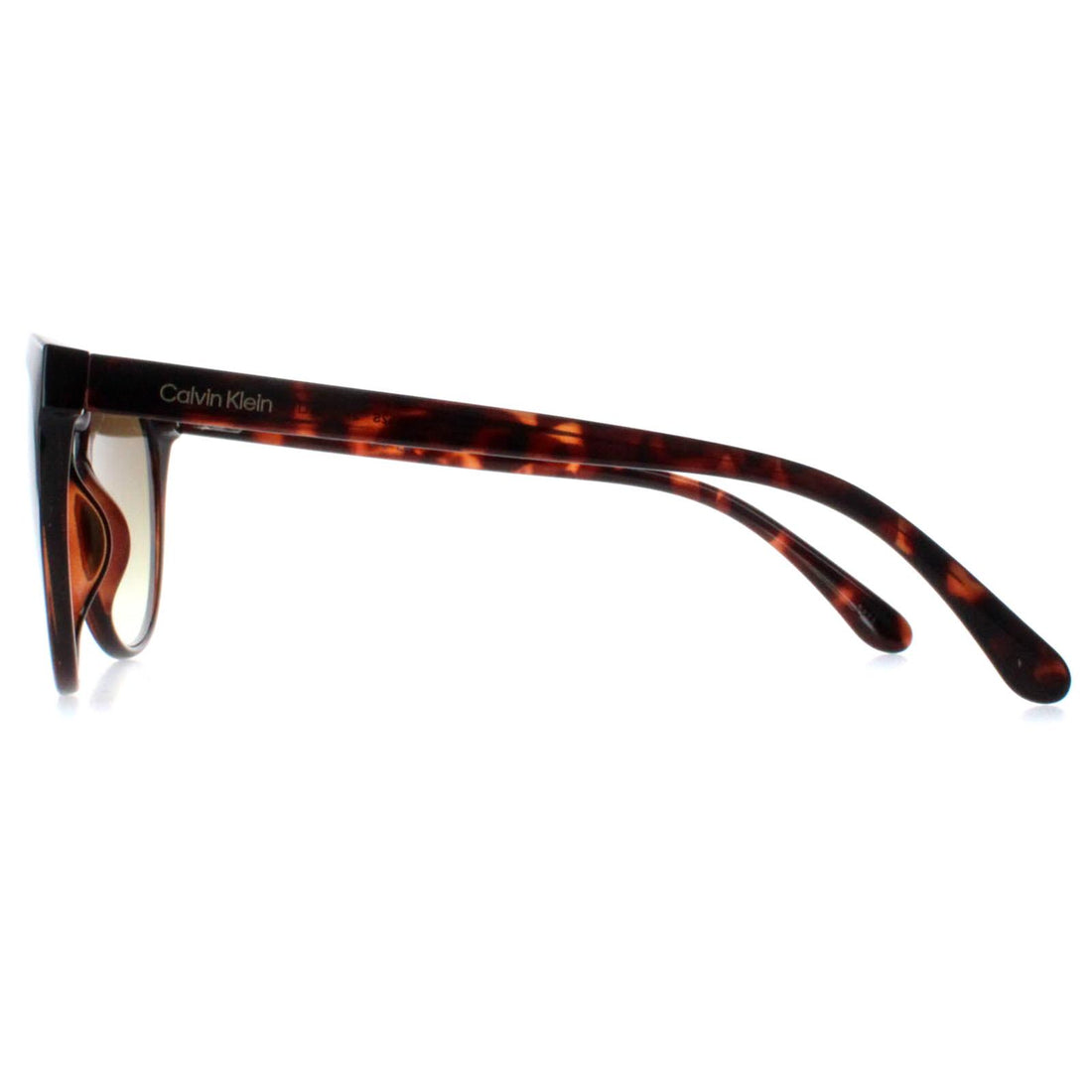 Calvin Klein Sunglasses CK22552S 240 Shiny Havana Brown Gradient