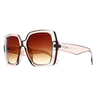 Atum Square Womens Transparent Beige Brown Gradient Zouk Sunglasses