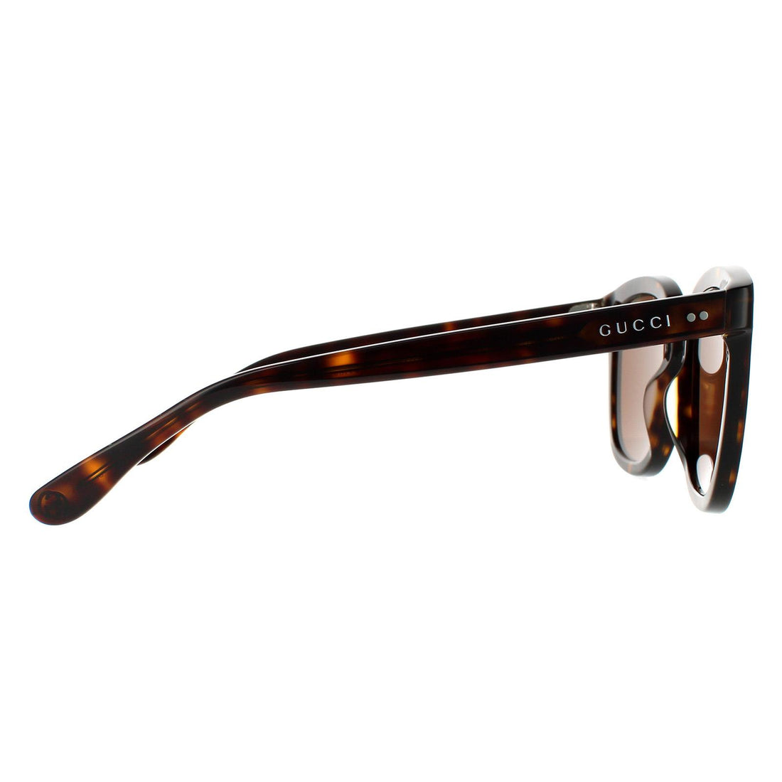 Gucci Sunglasses GG0571S 002 Dark Havana Brown