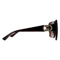 Gucci Sunglasses GG1692S 002 Dark Havana with Gold Dark Brown