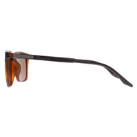 Montana Sunglasses MP186 C Turtle Brown Polarized