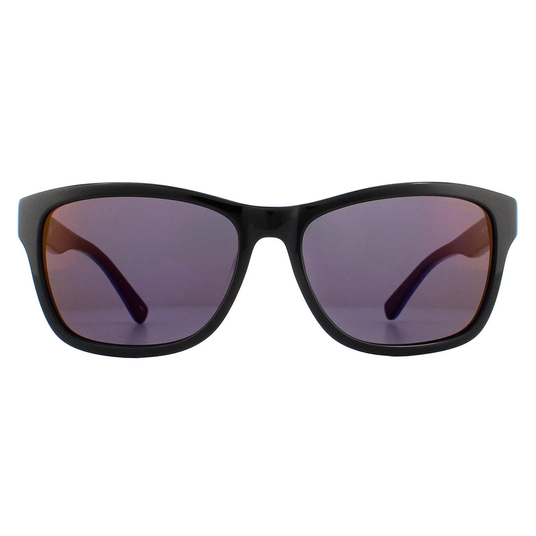 Lacoste L683S Sunglasses Black Blue / Purple