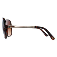 Smarty Sunglasses X2117 B Demi Gold Brown