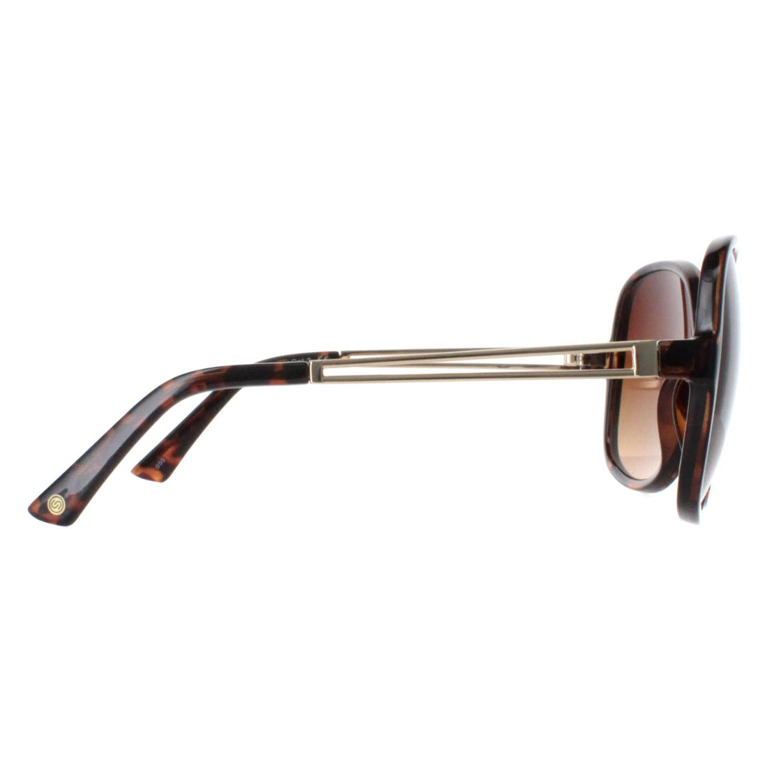 Smarty Sunglasses X2117 B Demi Gold Brown