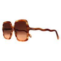 Chloe Sunglasses CH0086S Zelie 002 Havana Brown Gradient
